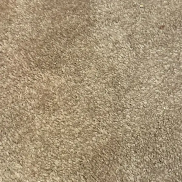 Après nettoyage moquette